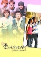 愛在星光燦爛時劇情介紹(1-20全集)