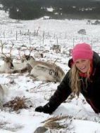 英國的冬天劇情介紹(1-5全集)