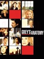 實習醫(yī)生格蕾第六季劇情介紹(1-24全集)