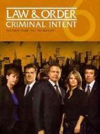 法律與秩序：犯罪傾向第六季劇情介紹(1-22全集)