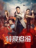 特案追緝劇情介紹(1-29全集)