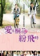 愛(ài)在桐花紛飛時(shí)