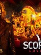 蔑視：愛情多傷人劇情介紹(1-全集)