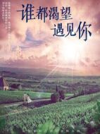 誰都渴望遇見你劇情介紹(1-36全集)