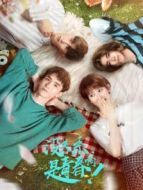 沒關(guān)系，是青春啊！海報