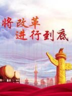 將改革進行到底劇情介紹(1-10全集)