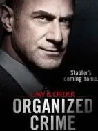 法律與秩序：組織犯罪第一季