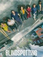 盲點(diǎn)劇情介紹(1-0全集)