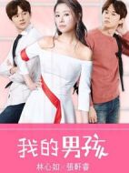 我的男孩劇情介紹(1-20全集)
