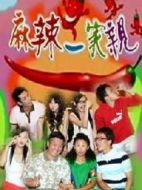 麻辣一家親劇情介紹(1-100全集)