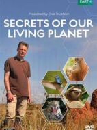 我們星球的秘密