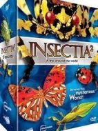 昆蟲王國2第二季劇情介紹(1-13全集)