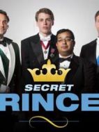 求愛王子第一季劇情介紹(1-5全集)