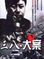 3·8大案劇情介紹(1-9全集)