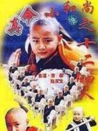 真命小和尚之十二銅人劇情介紹(1-22全集)