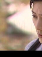 溫州女人劇情介紹(1-14全集)