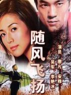 隨風(fēng)飛揚劇情介紹(1-20全集)