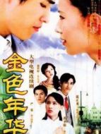 金色年華劇情介紹(1-42全集)