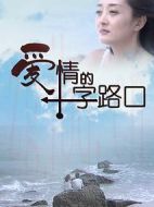 愛(ài)情的十字路口劇情介紹(1-20全集)