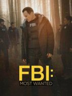 聯(lián)邦調(diào)查局：通緝要犯第二季劇情介紹(1-0全集)
