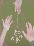 妻子的選擇劇情介紹(1-12全集)