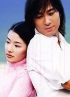 薰衣草劇情介紹(1-16全集)