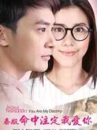 命中注定我愛你劇情介紹(1-31全集)