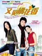 又見橘花香劇情介紹(1-20全集)