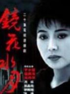 鏡花水月劇情介紹(1-20全集)