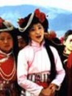 西部的天空劇情介紹(1-22全集)