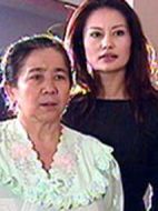 新疆姑娘劇情介紹(1-20全集)