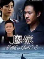 廖家劇情介紹(1-27全集)