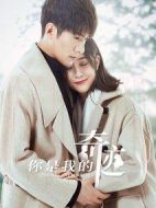 你是我的奇跡劇情介紹(1-23全集)