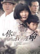 你是我的生命 TV版劇情介紹(1-40全集)