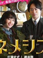 涅墨西斯劇情介紹(1-10全集)