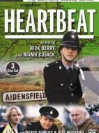 心跳第十三季劇情介紹(1-25全集)