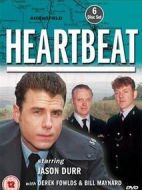 心跳第九季劇情介紹(1-24全集)