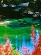 洋妞在北京劇情介紹(1-20全集)