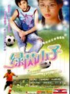 綠茵少年劇情介紹(1-20全集)