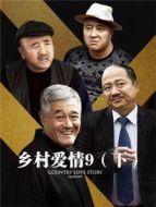 鄉(xiāng)村愛(ài)情9（下）