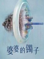 婆婆的鐲子劇情介紹(1-14全集)