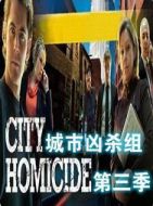 城市兇殺組第三季劇情介紹(1-18全集)