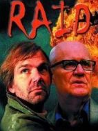 突襲劇情介紹(1-12全集)