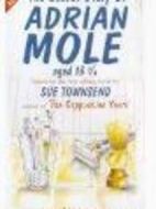 艾德里安.莫爾的秘密日記,十三又四分之三歲第一季劇情介紹(1-6全集)