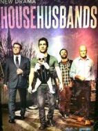 家庭主夫劇情介紹(1-10全集)