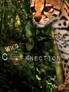 野生鏈劇情介紹(1-6全集)