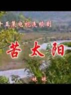 太陽(yáng)淚海報(bào)