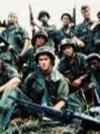 突擊越南劇情介紹(1-57全集)