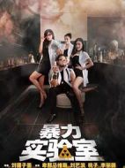 暴力實(shí)驗(yàn)室