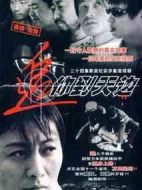 追你到天邊劇情介紹(1-22全集)